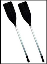 Rüyada Kürek Görmek